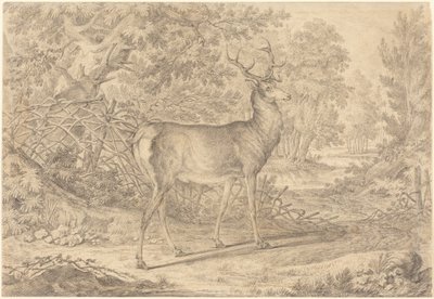  tekijältä Johann Elias Ridinger