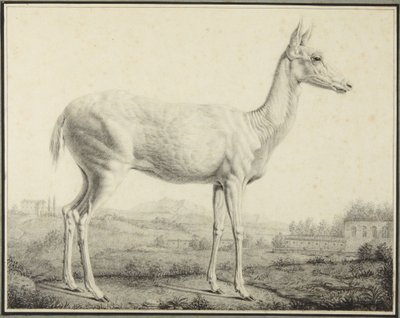  tekijältä Johann Elias Ridinger