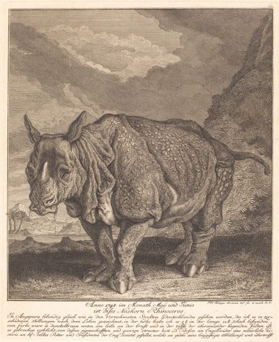 Sarvikuono tekijältä Johann Elias Ridinger