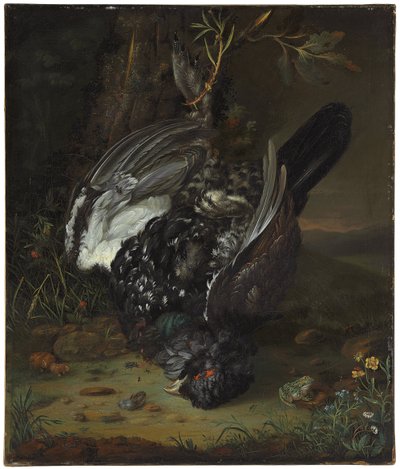 Mustakukko metsäisessä maisemassa, 1747 tekijältä Johann Friedrich von Grooth