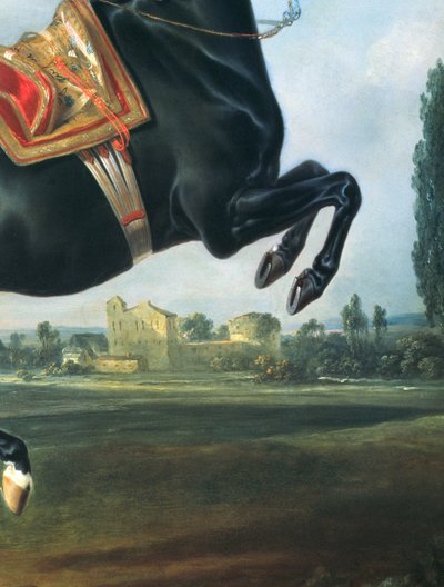 Musta hevonen esittämässä Courbettea (yksityiskohta 65652) tekijältä Johann Georg Hamilton
