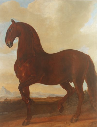 Bay Stallion Eisgruber Studilla tekijältä Johann Georg Hamilton
