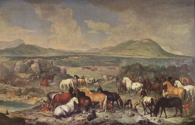 Imperial Stud ja Lipizzaner Horses -hevoset tekijältä Johann Georg Hamilton