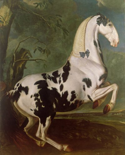 Piebaldin ori Eisgruber-talolla tekijältä Johann Georg Hamilton
