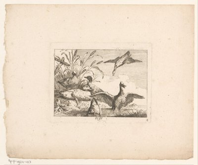 Maisema kuuden ankan kanssa Linnut maisemissa (sarjan nimi) tekijältä Johann Georg Hertel (I) (possibly)