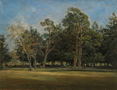 El jardí de cérvols prop de Munic-finès tekijältä Johann Georg von Dillis