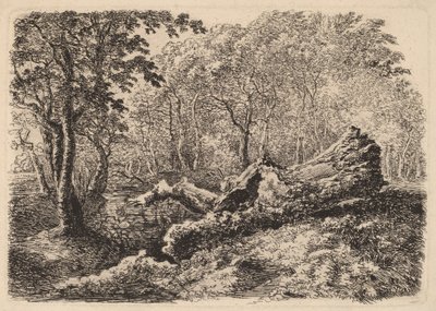 Mouldering-puun runko, 1794. tekijältä Johann Georg von Dillis