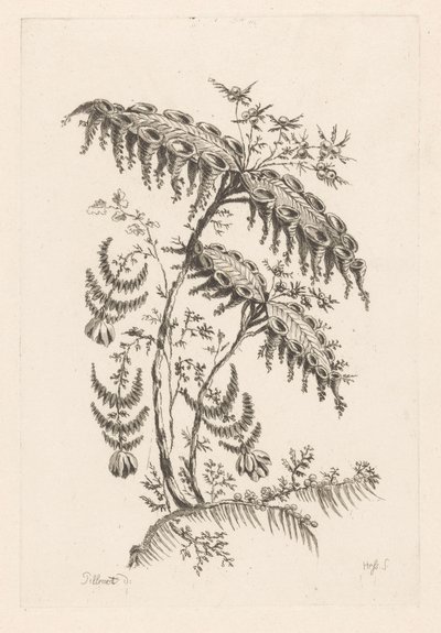 Lehdet sarvimuotoiset Fleures Baroque (sarjan nimi) tekijältä Johann Heinrich  Hess