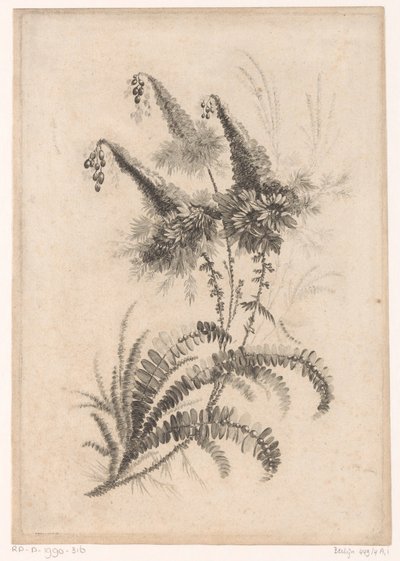 Puntige bloemen Kokoelma uusia makukukkia; Valmistajalle Manufacture des Etoffes de Perse (sarjan nimi) tekijältä Johann Heinrich  Hess