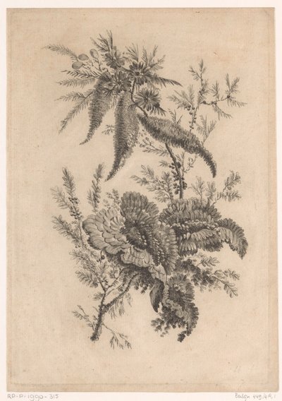 Wilde roosachtigen Kokoelma uusia makukukkia; Valmistajalle Manufacture des Etoffes de Perse (sarjan nimi) tekijältä Johann Heinrich  Hess