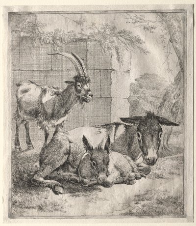 Vuohi ja aasit tekijältä Johann Heinrich Roos