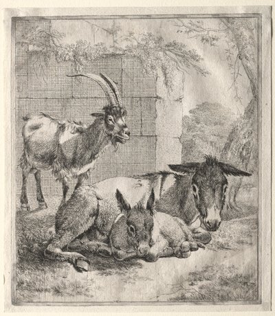 Vuohi ja aasit. tekijältä Johann Heinrich Roos