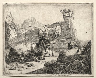 Pensasaita, 1665. tekijältä Johann Heinrich Roos
