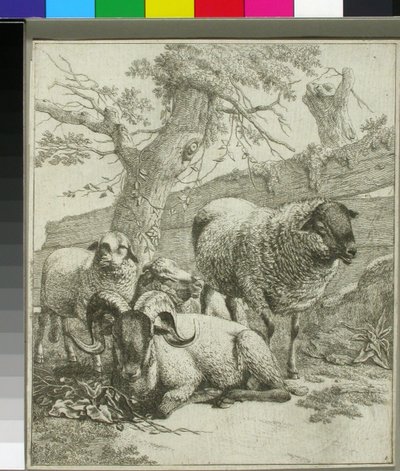Ohne Titel tekijältä Johann Heinrich Roos