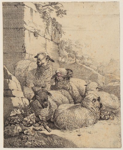  tekijältä Johann Heinrich Roos