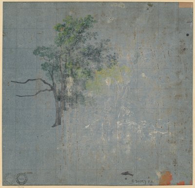 Tree Studies, 1800-luvun ensimmäinen puolisko. tekijältä Johann Jacob Dorner