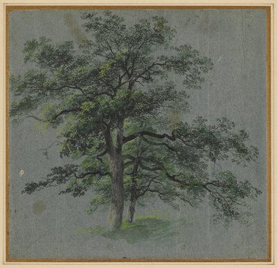 Kaksi puuta, 1800-luvun ensimmäinen puolisko. tekijältä Johann Jacob Dorner