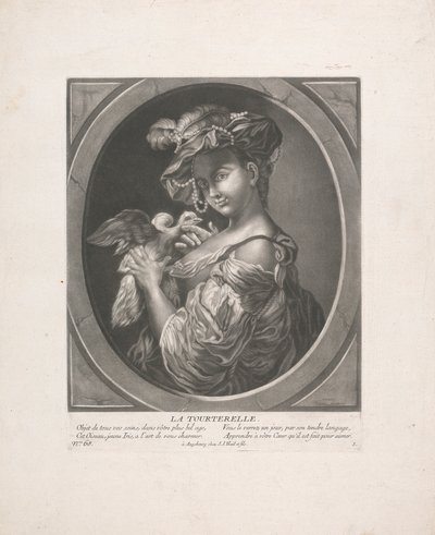 Kyyhkynen tekijältä Johann Jacobus Haid