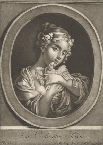 Rakas kyyhkynen tekijältä Johann Jacobus Haid
