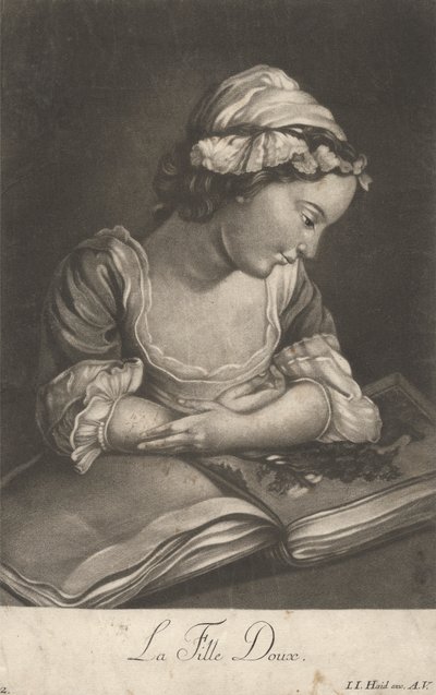 Suloinen tyttö tekijältä Johann Jacobus Haid