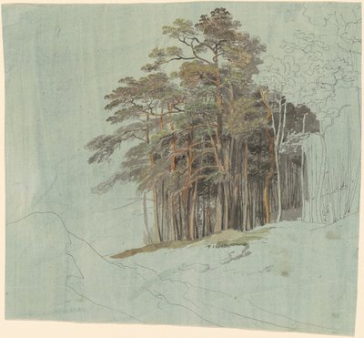 Tutkimus mäntypuista tekijältä Johann Jakob Dorner the younger