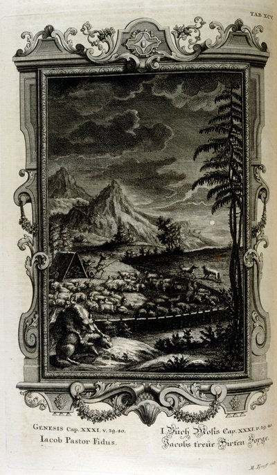 Jacobsin kentät tekijältä Johann Jakob Scheuchzer