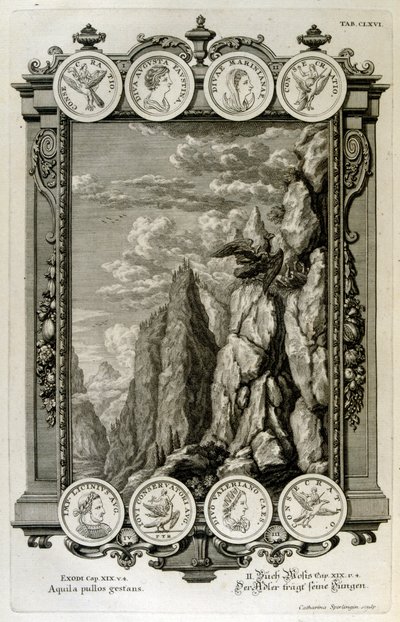 Zeus symboloi kotka tekijältä Johann Jakob Scheuchzer