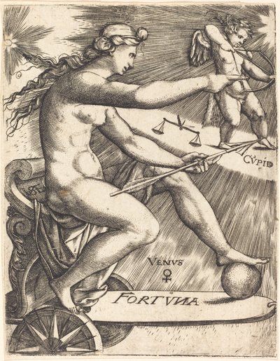 Venus tekijältä Johann Ladenspelder
