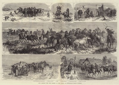 Elämää Pusztan eli Unkarin nummien villihevosten keskellä tekijältä Johann Nepomuk Schonberg