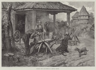 Härkkien ja hevosten kenkiminen Servian pajassa tekijältä Johann Nepomuk Schonberg