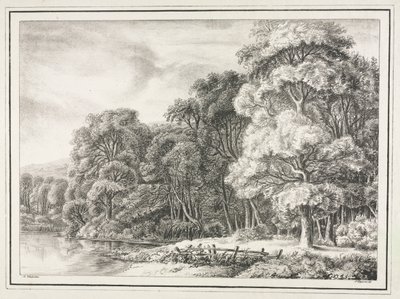 Metsämaisema järven kanssa tekijältä Johann Nepomuk Strixner