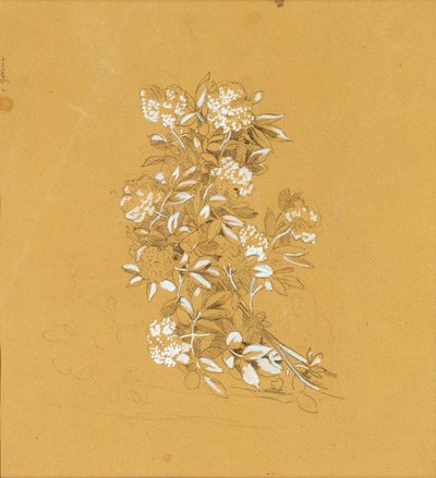 Blumenbouquet tekijältä Johann Peter Krafft