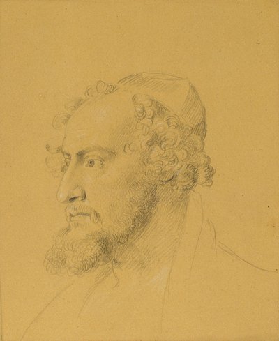 Päätutkimus parrakkaasta miehestä tekijältä Johann Peter Krafft