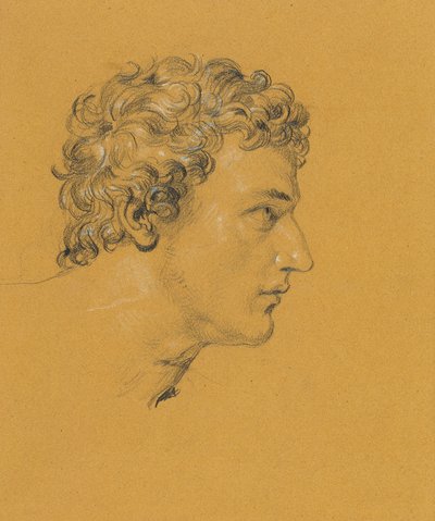 Pään tutkimus tekijältä Johann Peter Krafft