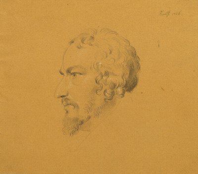 Tutkimus parrakkaasta miehestä tekijältä Johann Peter Krafft