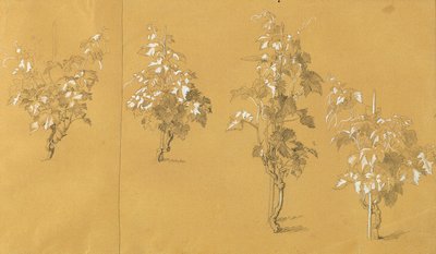 Weinstock, tutkimus "Hermann ja Dorothea viinitarhassa" tekijältä Johann Peter Krafft