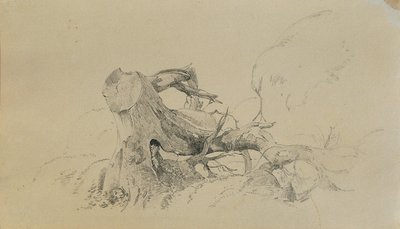 Juurijärjestelmä, kaatunut puu tekijältä Johann Peter Krafft