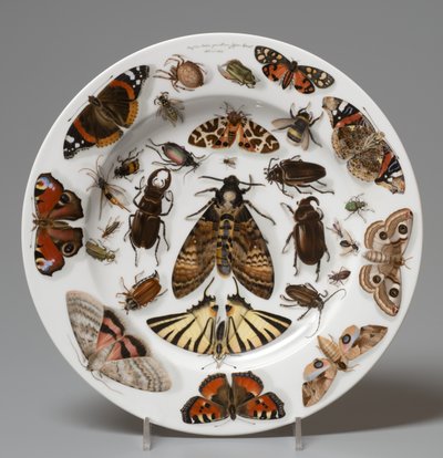 Plate, Lippert & Haas, Schlaggenwald tekijältä Johann Quast