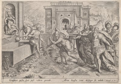 Heinäsirkkojen rutto, n. 1585. tekijältä Johann Sadeler I