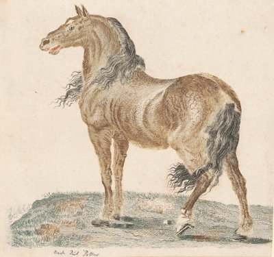 Naapurihevonen, 1690-luku. tekijältä Johann Teyler