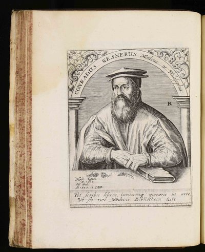 Conrad Gessner tekijältä Johann Theodor de Bry