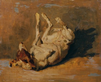 Nyrehtivä Koira tekijältä Johann  Till der Jüngere