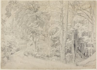 Pyökkimetsässä tekijältä Johann Wilhelm Schirmer