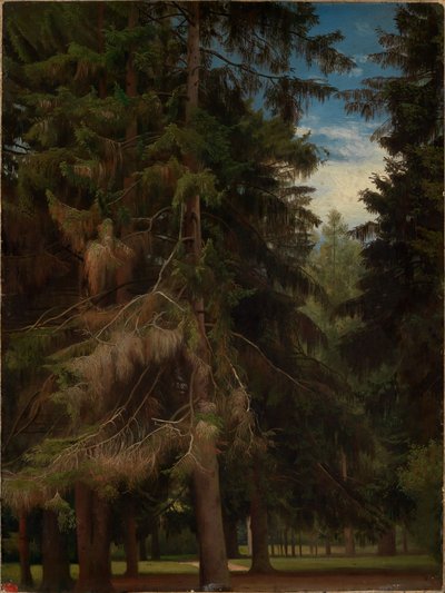  tekijältä Johann Wilhelm Schirmer