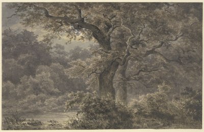 Metsän tammipuut tekijältä Johann Wilhelm Schirmer