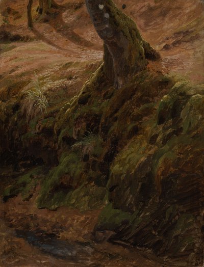  tekijältä Johann Wilhelm Schirmer