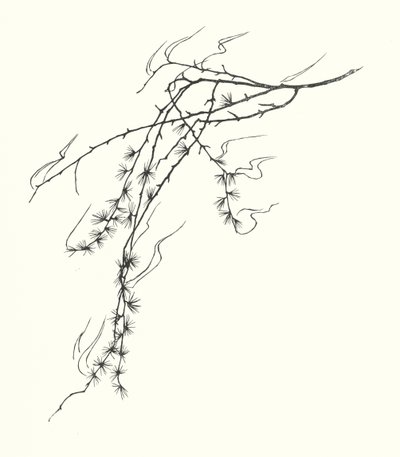 Johanna Beckmannin siluetti (litografia) tekijältä Johanna Beckmann