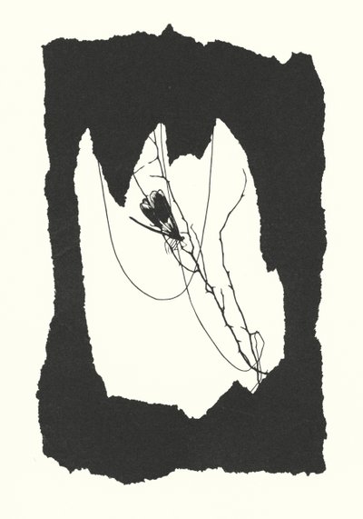 Johanna Beckmannin siluetti (litografia) tekijältä Johanna Beckmann