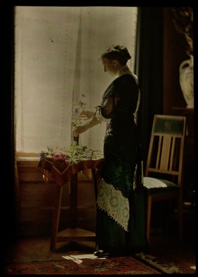 Nainen ikkunassa tekijältä Johannes Hendrikus Antonius Maria Lutz