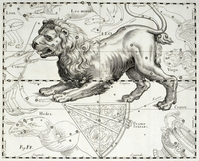 Leijona, leijonan tähtikuvio, kuvitus Johann Heveliuksen (1611-1687) tähtien kartasta Firmamentum Sobiescianum sive Uranographia, Gdansk tekijältä Johannes Hevelius